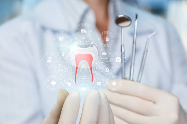 Flower Hill, MD  Holistic Dental Services Company